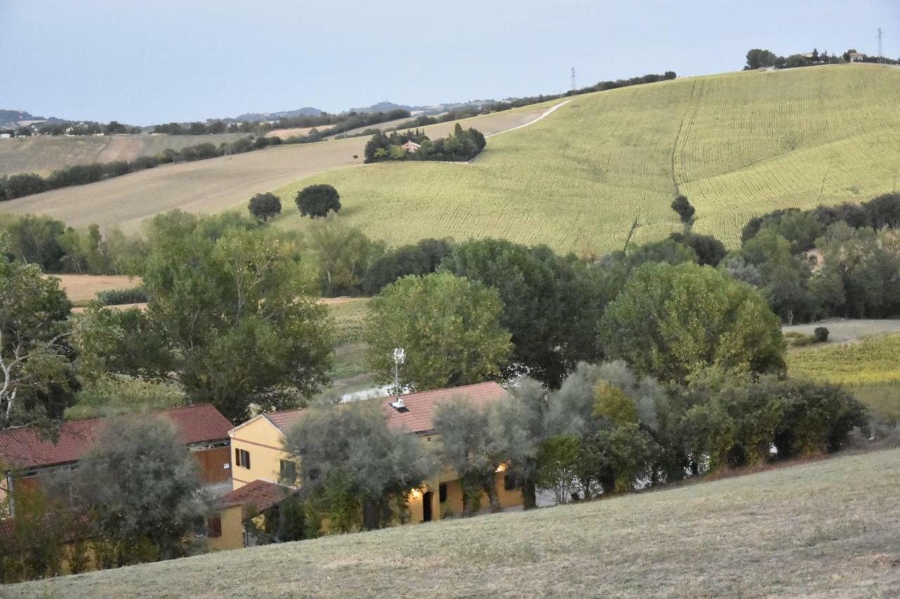 Agriturismo Fattoria Del Colle Jesi Exterior foto