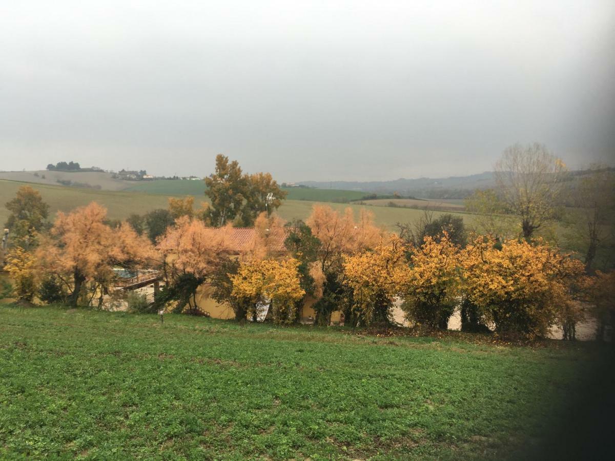 Agriturismo Fattoria Del Colle Jesi Exterior foto
