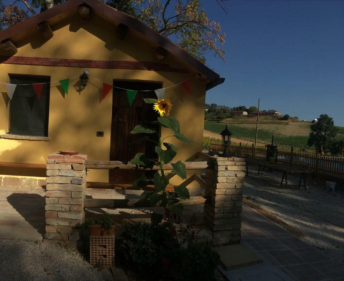Agriturismo Fattoria Del Colle Jesi Exterior foto