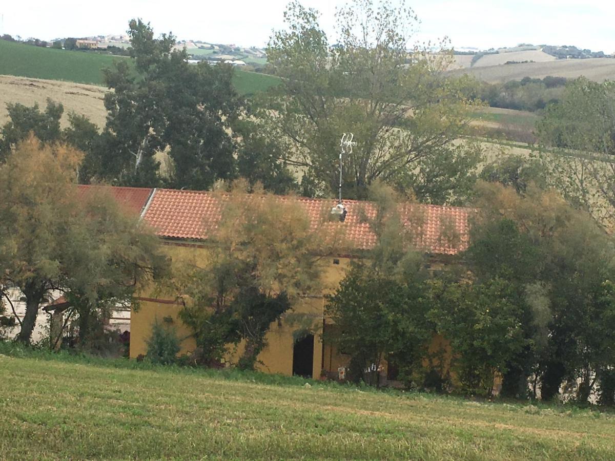Agriturismo Fattoria Del Colle Jesi Exterior foto