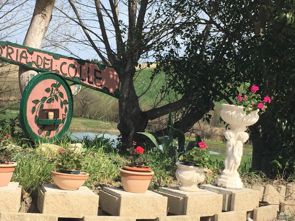 Agriturismo Fattoria Del Colle Jesi Exterior foto