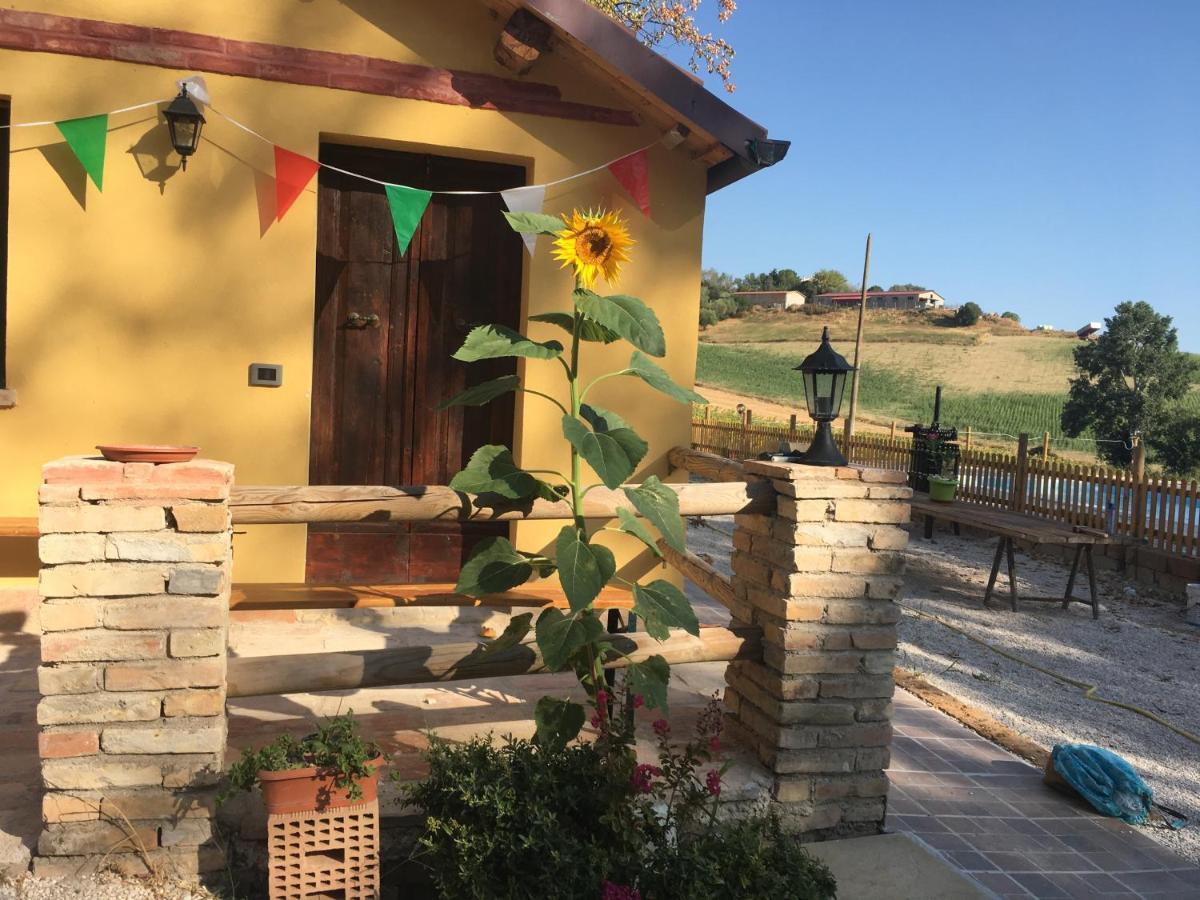 Agriturismo Fattoria Del Colle Jesi Exterior foto