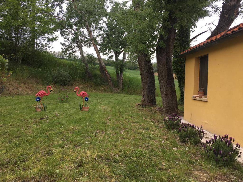 Agriturismo Fattoria Del Colle Jesi Exterior foto