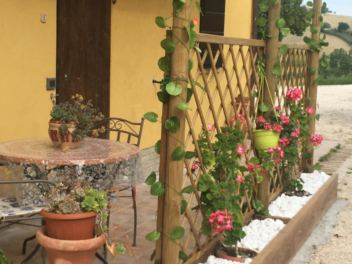Agriturismo Fattoria Del Colle Jesi Exterior foto