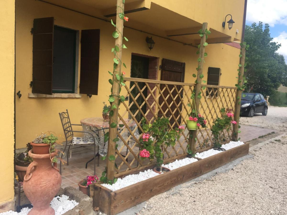Agriturismo Fattoria Del Colle Jesi Exterior foto