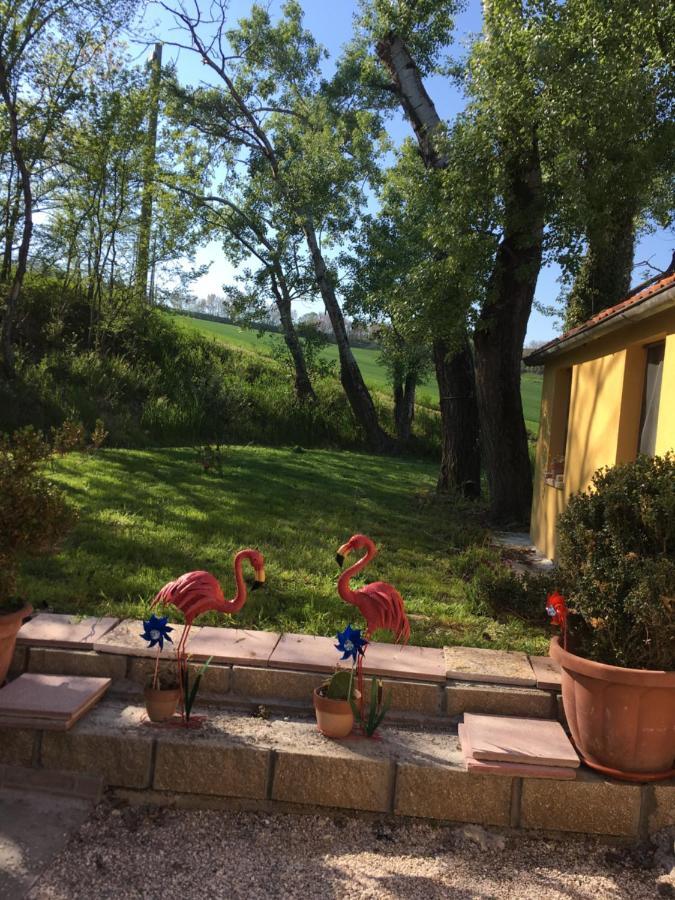 Agriturismo Fattoria Del Colle Jesi Exterior foto