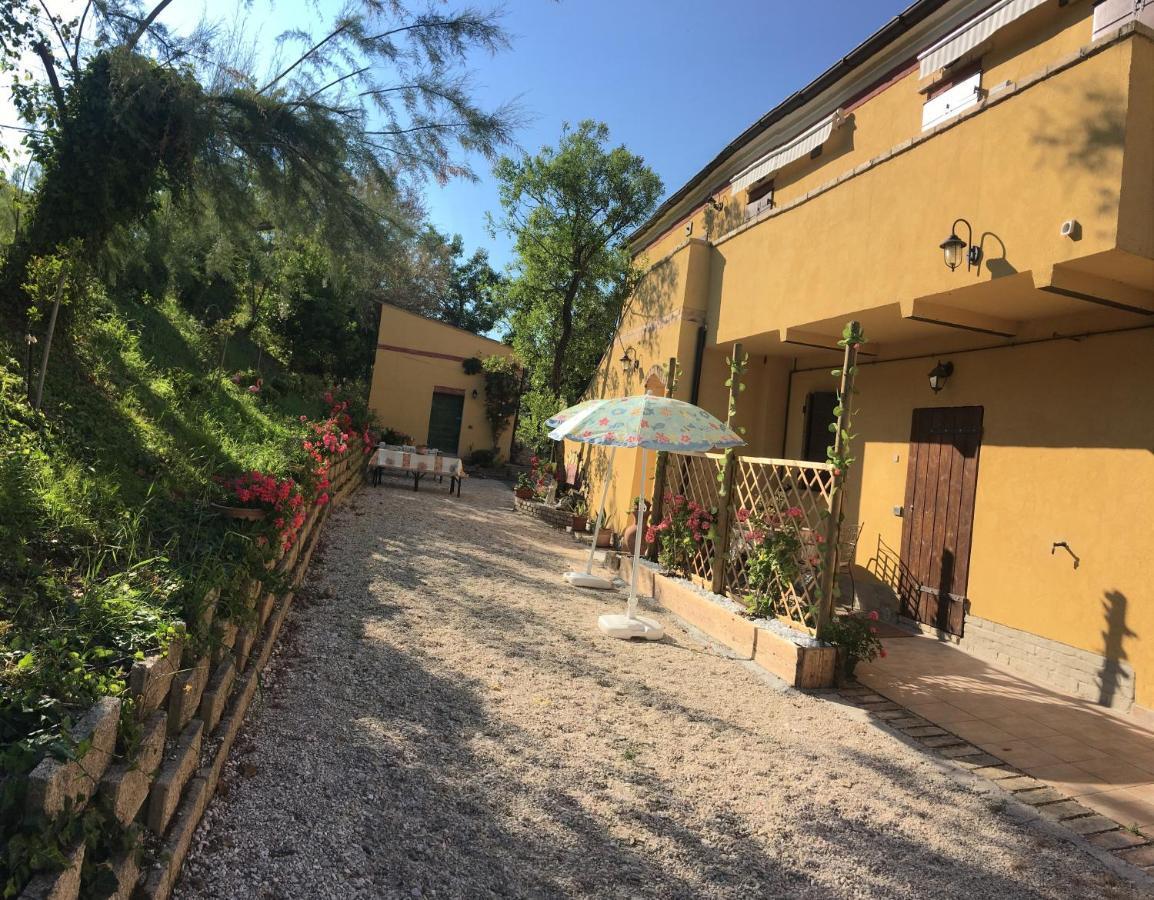 Agriturismo Fattoria Del Colle Jesi Exterior foto